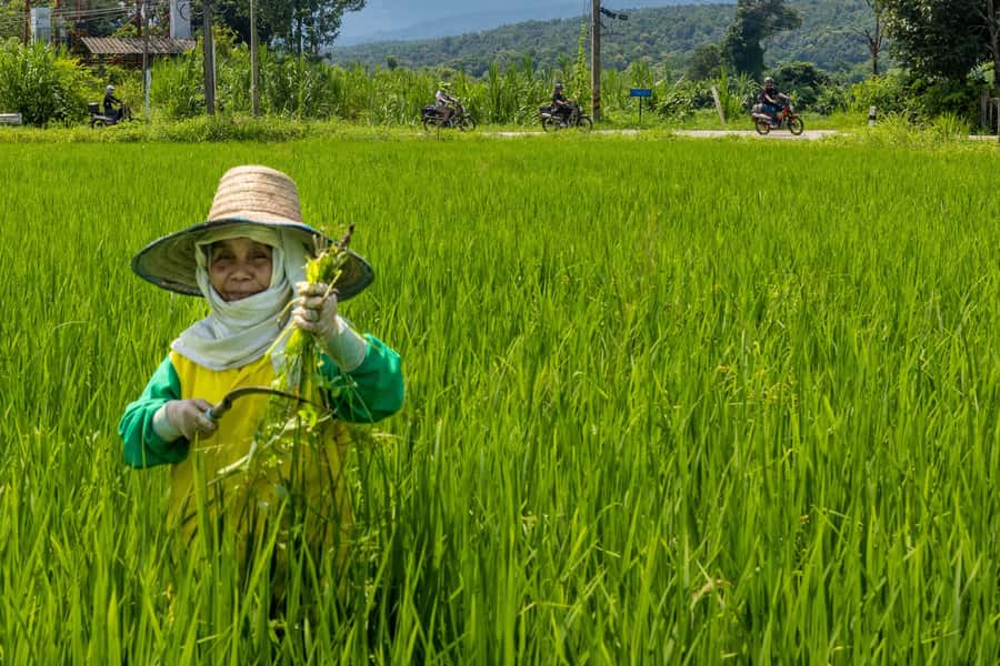 2 day overnight adventure off road scooter tour; Amaz views - Why this Chiang Mai scooter tour feels different