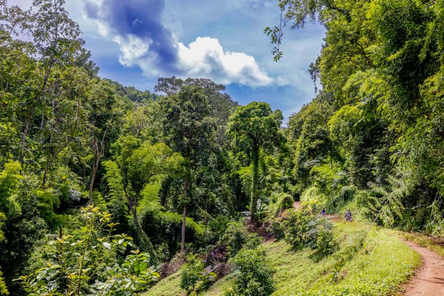 2 day overnight adventure off road scooter tour; Amaz views - Price and value: what $266 really covers