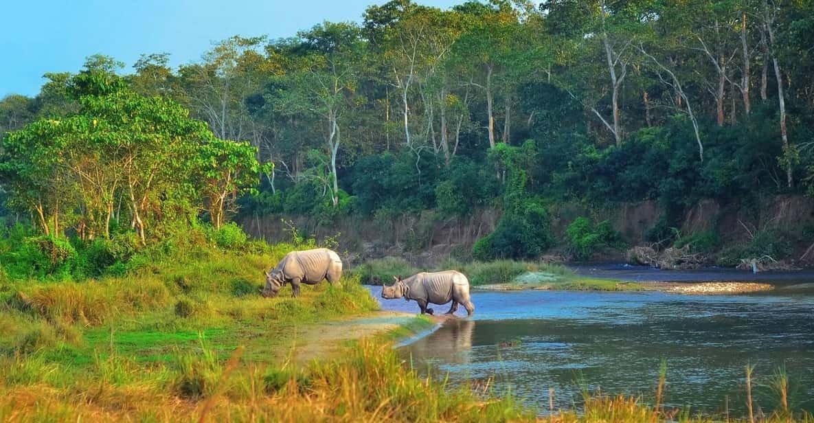 2 Days Chitwan Jungle Safari Tour from Pokhara/Kathmandu - A fast, two-day hit of Chitwan from Pokhara or Kathmandu