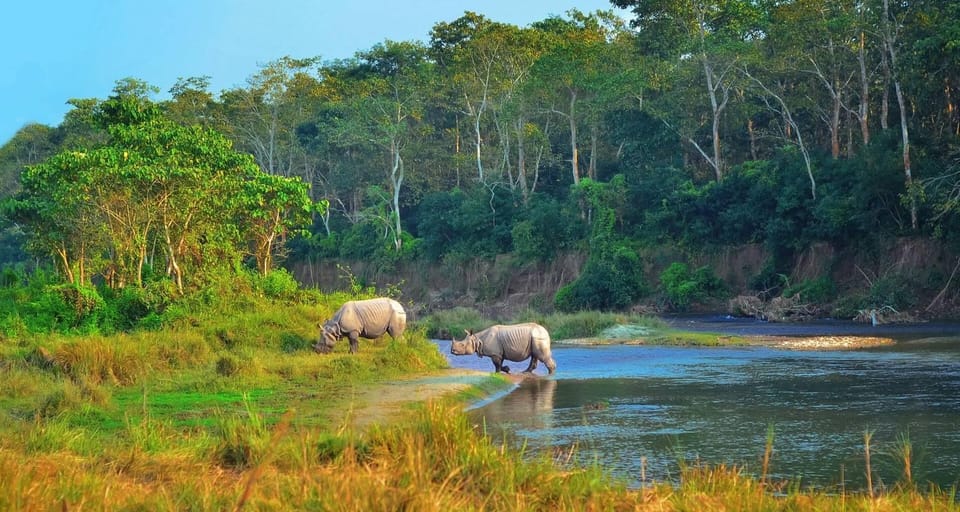 2 Days Chitwan Jungle Safari Tour from Pokhara/Kathmandu - Jeep safari and jungle walk with an English nature guide