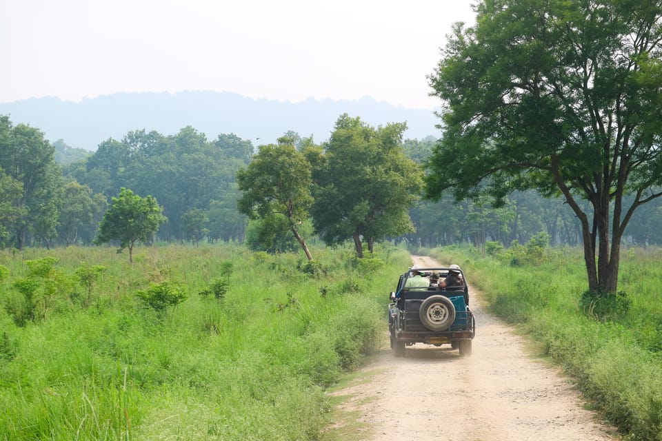 2 Days Chitwan Jungle Safari Tour from Pokhara/Kathmandu - Rainbow Safari Resort: the 1-night base you actually care about
