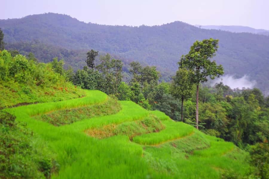 2days 1night : Trekking with Karen people and Doi Inthanon - Morning Pickup, Market Stop, and First Jungle Walk