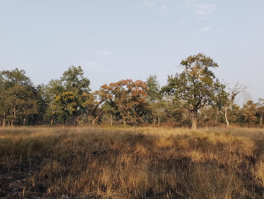 3 Nights 4 Days Chitwan National Park with Tower Night Stay - Day 4: The Easy Exit Back to Kathmandu or Pokhara