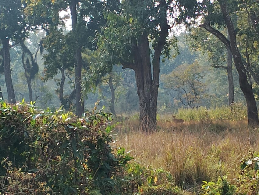 3 Nights 4 Days Chitwan National Park with Tower Night Stay - Who This Chitwan Tower Stay Tour Fits Best