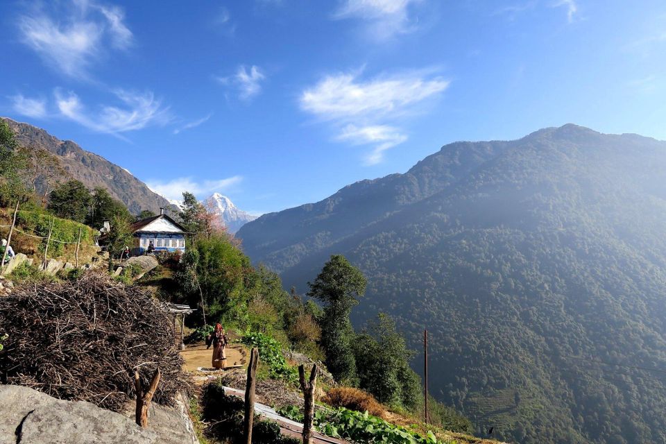 4 Day Poon Hill Trek from Pokhara - Guest houses and meals: how to keep days comfortable