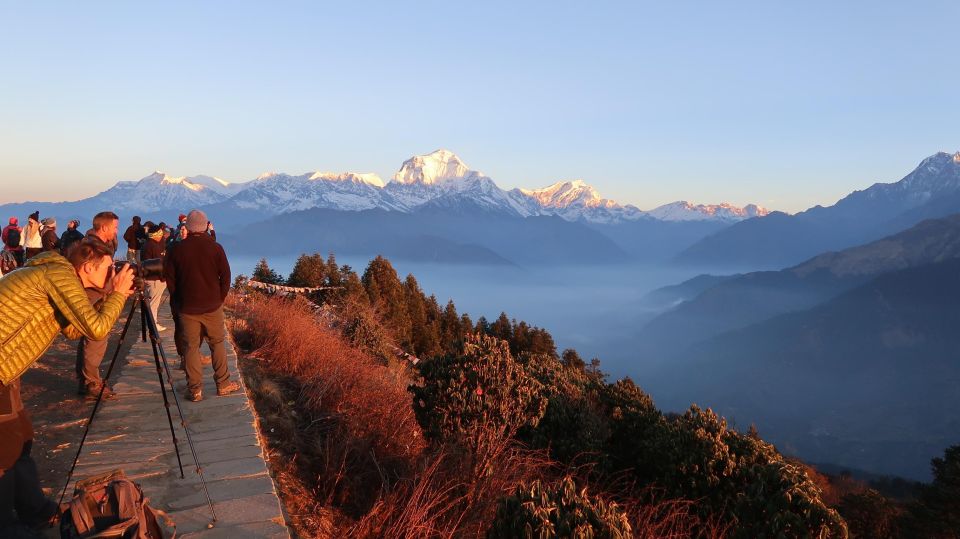 4 Day Poon Hill Trek from Pokhara - Day 2: Ulleri’s stone stairs and the walk into Ghorepani