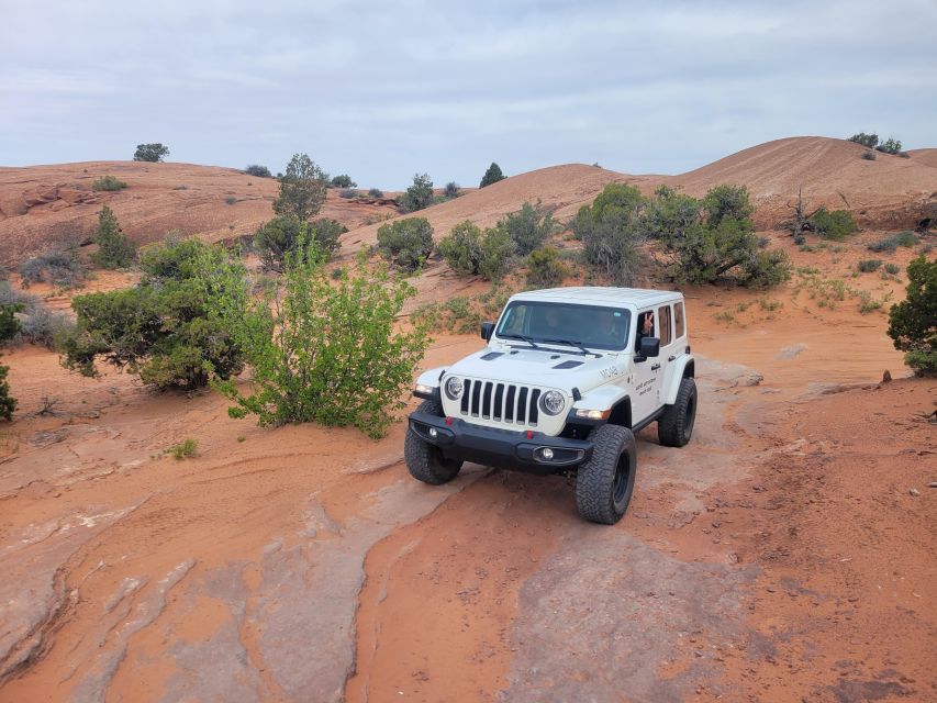 Afternoon Arches National Park 4x4 Tour - Utah Raptor State Park Stop: Dinosaur Tracks and Salt-Bed Geology