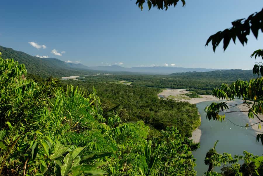 Amazonas Manu Cultural Zone 4 Days / 3 Nights - Is $430 Worth It for Amazonas Manu Cultural Zone? Value Check