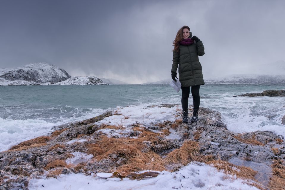 Arctic Nature Tour from Tromsø - Guides who drive, teach, and shoot with you