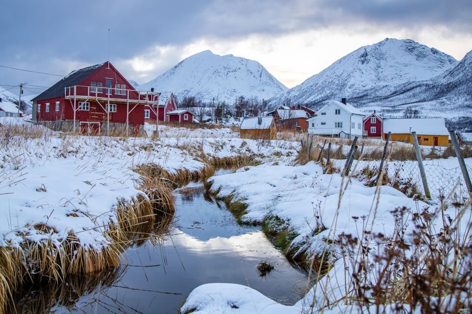 Arctic Nature Tour from Tromsø - Price and value: does $142 make sense?