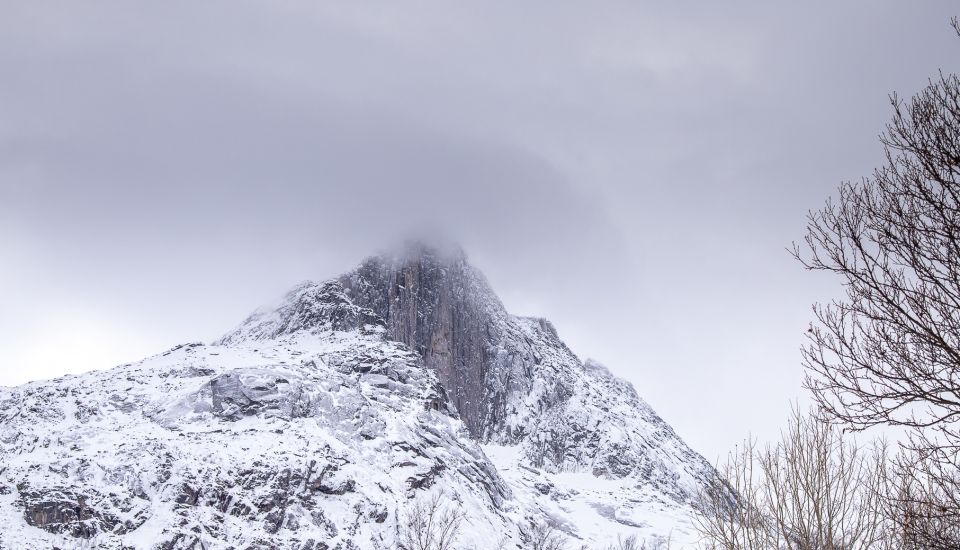 Arctic Nature Tour from Tromsø - Weather and crowds: how guides protect your best minutes