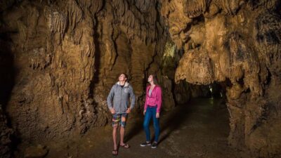 Auckland: One-Way Tour to Rotorua with Waitomo Caves - The Waikato Drive: Mountains, Farms, and a Guide With Answers