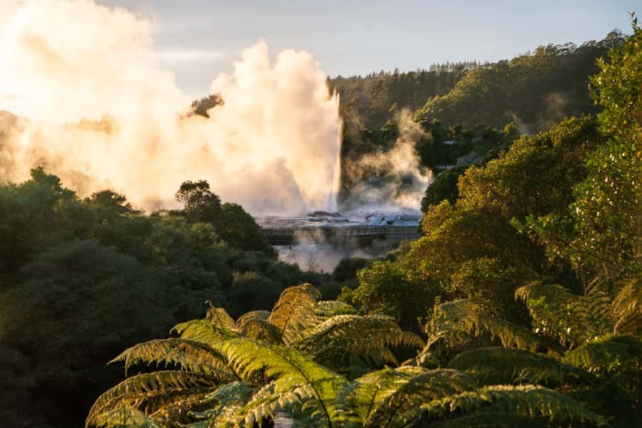 Auckland: Rotorua Highlights inc Wai O Tapu & Te Puia Tour - Key points at a glance