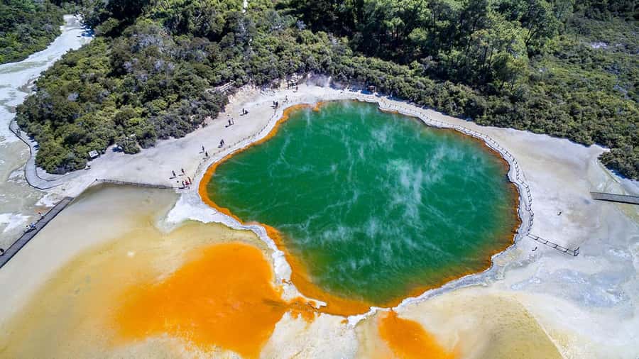 Auckland: Rotorua Highlights inc Wai O Tapu & Te Puia Tour - Lunch, breaks, and the 12-hour reality check