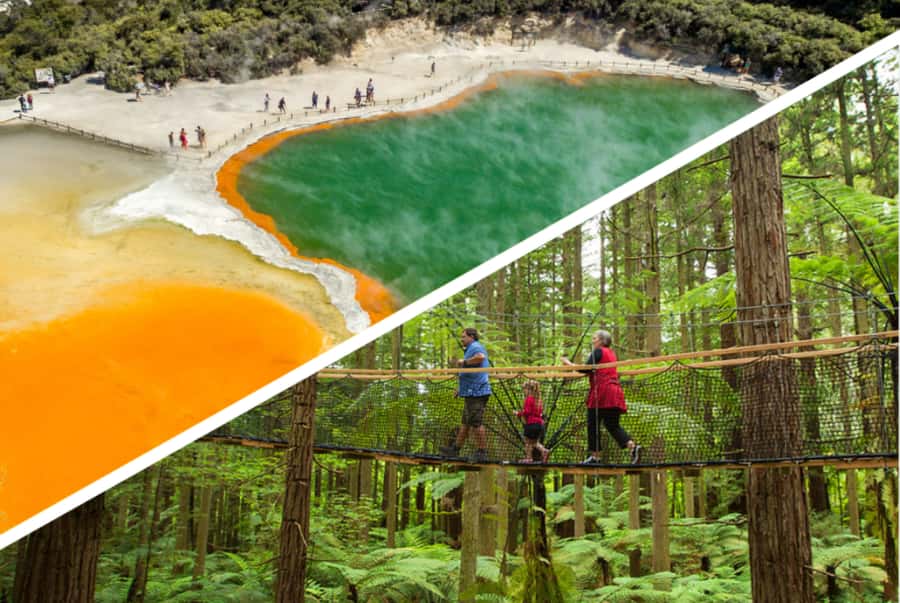 Auckland: Rotorua Highlights w WaiOTapu & Redwoods Treewalk - Key highlights at a glance