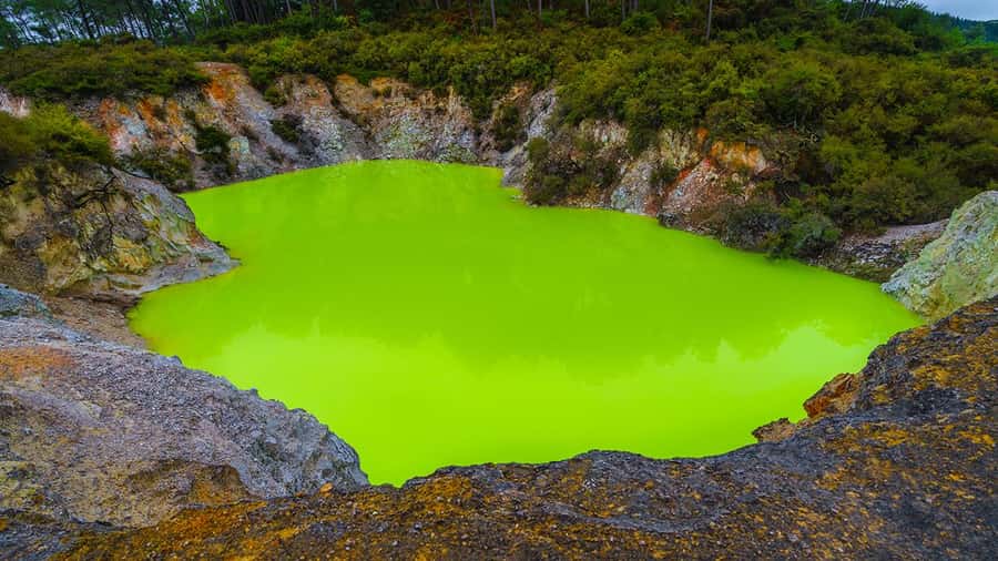 Auckland: Rotorua Highlights w WaiOTapu & Redwoods Treewalk - Auckland to Rotorua: why the long drive matters
