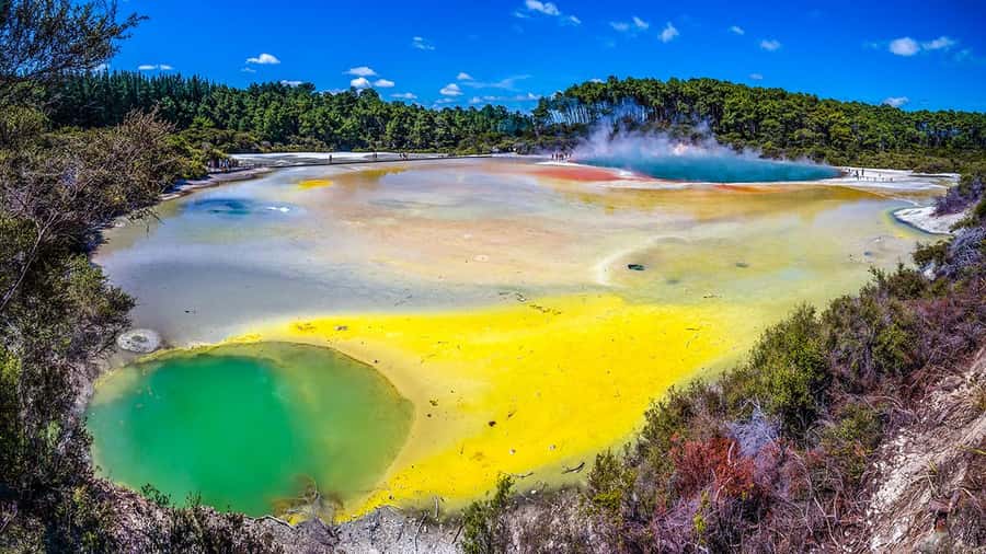 Auckland: Rotorua Highlights w WaiOTapu & Redwoods Treewalk - Rotorua by car: a fast way to get your bearings