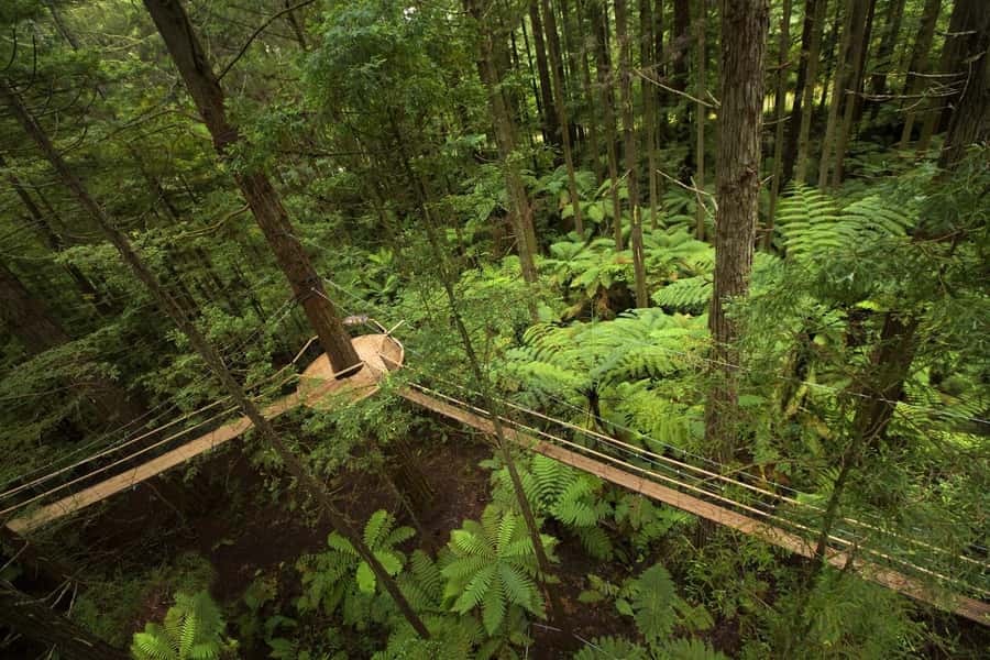 Auckland: Rotorua Highlights with Redwoods Treewalk & Spa - Polynesian Spa Deluxe Lake Entry: Thermal Pools With Real Reset Time