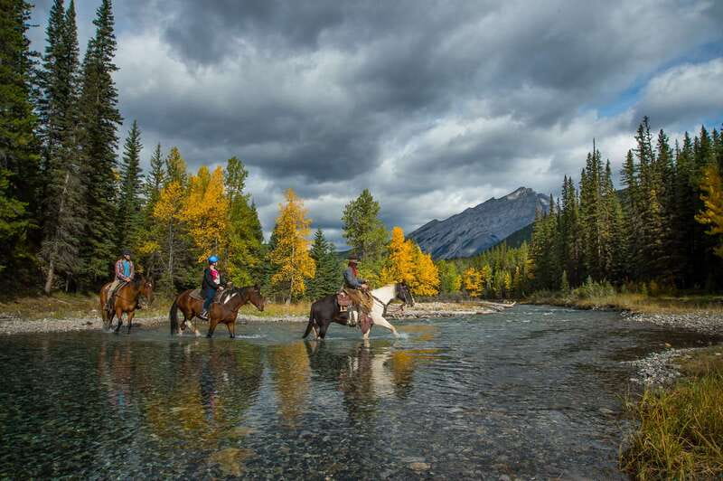Banff: 4-Hour Sulphur Mountain Intermediate Horseback Ride - Sulphur Mountain route: Rimrock Resort, Spray River, and Mount Rundle base
