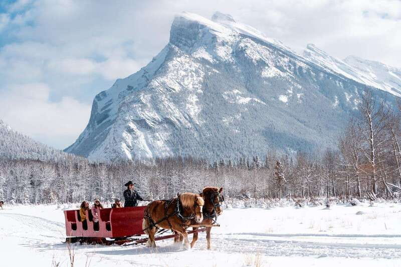 Banff: Family Friendly Horse-Drawn Sleigh Ride - What to bring so you can actually enjoy the ride