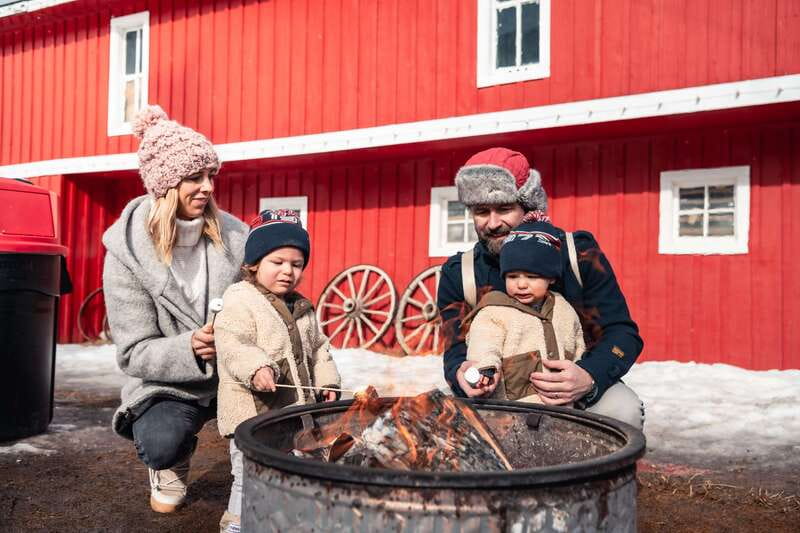 Banff: Family Friendly Horse-Drawn Sleigh Ride - The sleigh ride experience: bells, horse pace, and guide stories
