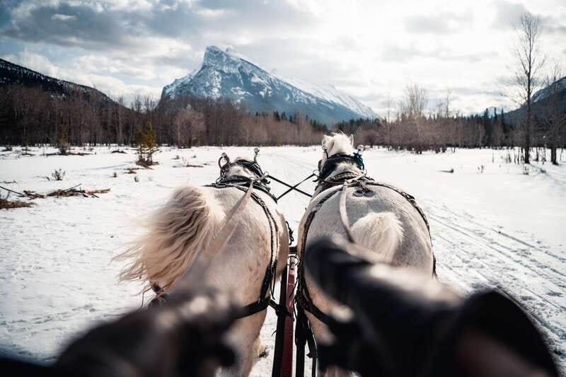 Banff: Family Friendly Horse-Drawn Sleigh Ride - Views you’ll recognize: Rundle, Cascade, and Banff winter clarity