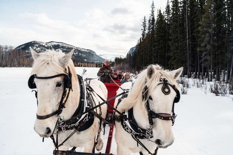 Banff: Family Friendly Horse-Drawn Sleigh Ride - When winter weather changes the plan (sleigh vs wagon)
