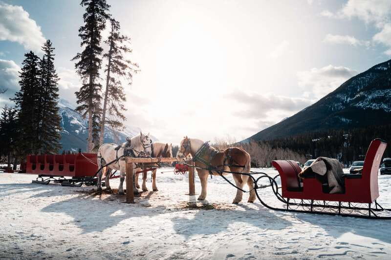 Banff: Family Friendly Horse-Drawn Sleigh Ride - Who should book this Banff sleigh ride, and who should think twice