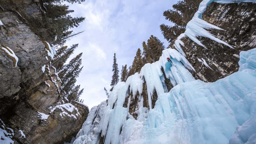Banff: Gondola Ticket and Johnston Canyon Hiking Tour - A one-day circuit of Banff’s big hits (without doing it all yourself)