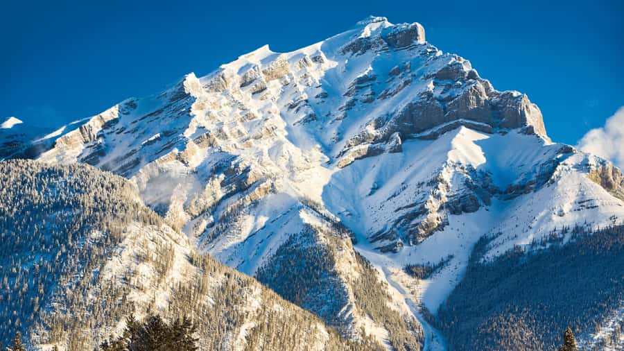 Banff: Gondola Ticket and Johnston Canyon Hiking Tour - Who should book this Banff Gondola and Johnston Canyon tour