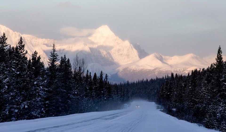 Banff: Icefields Parkway & Abraham Lake Ice Bubbles Tour - Icefields Parkway stops: views, wildlife odds, and a real rhythm