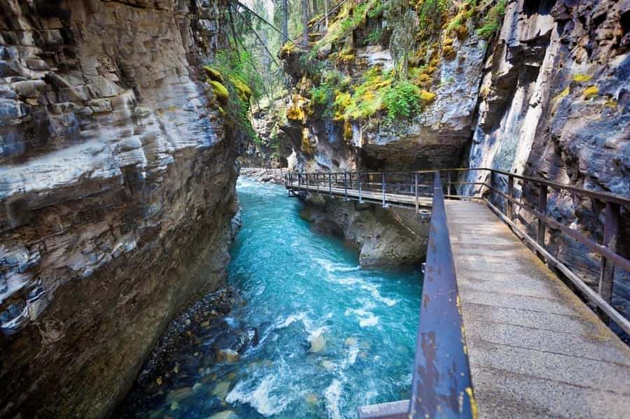 Banff, Lake Louise, Moraine ,Emerald & Johnston Canyon tour - Key highlights worth your attention