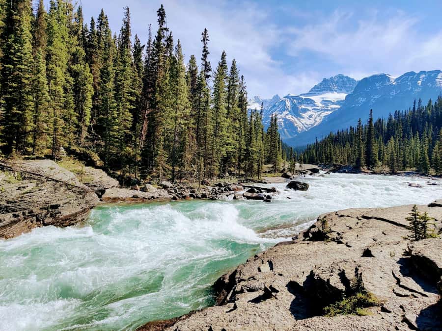Banff: Moraine Lake, Lake Louise, Emerald Lake and Yoho Trip - Pickup, Group Size, and the Feel of the Ride