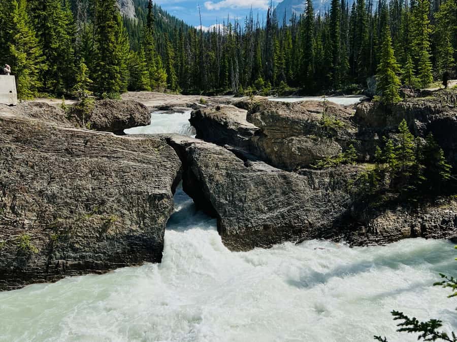 Banff: Moraine Lake, Lake Louise, Emerald Lake and Yoho Trip - Yoho National Park: Emerald Lake’s Water and the Natural Bridge’s Geology