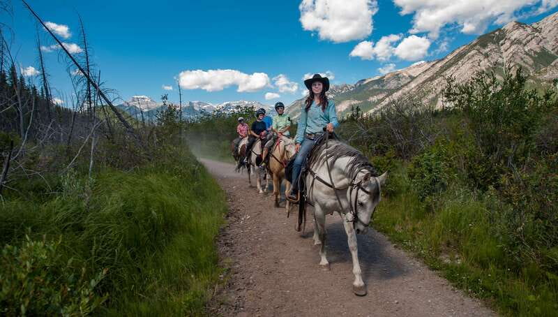 Banff National Park: 2-Hour Sundance Loop Horseback Ride - From Warner Stables to Banff’s real backcountry pace