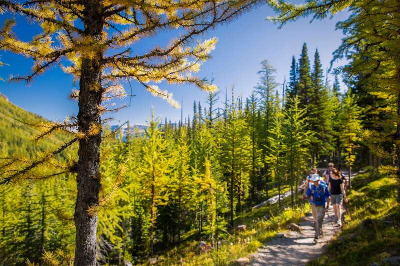 Banff National Park: Guided Signature Hikes with Lunch - The Morning Plan: Minibus Pickup and a Smart Start