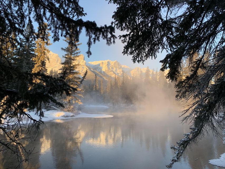 Banff PRIVATE Guided Nature Walk + Transportation - 2.5H - Who should book this tour (and who should skip it)