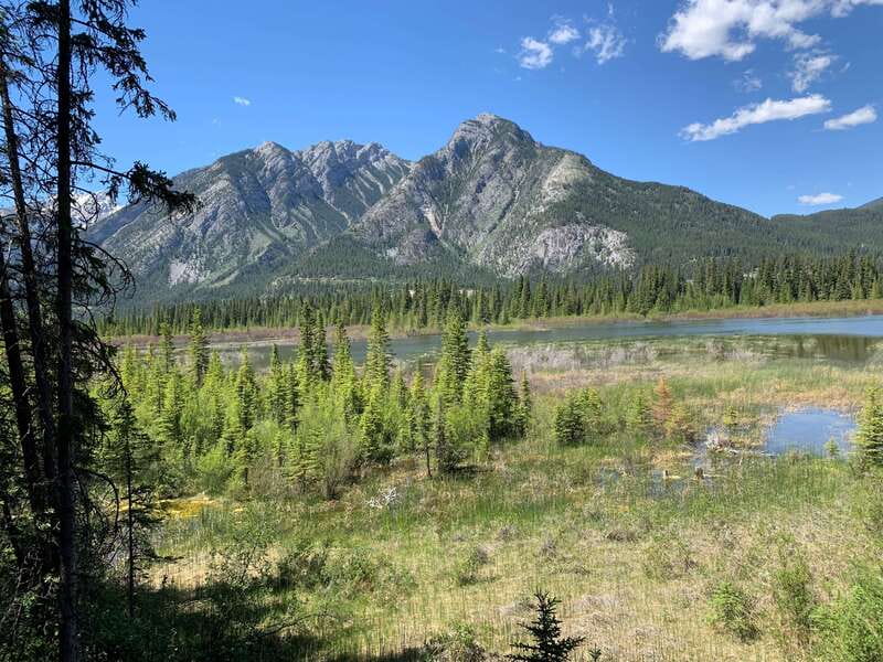Banff PRIVATE Guided Nature Walk + Transportation - 2.5H - Starting at Cave and Basin: the practical setup that keeps things smooth