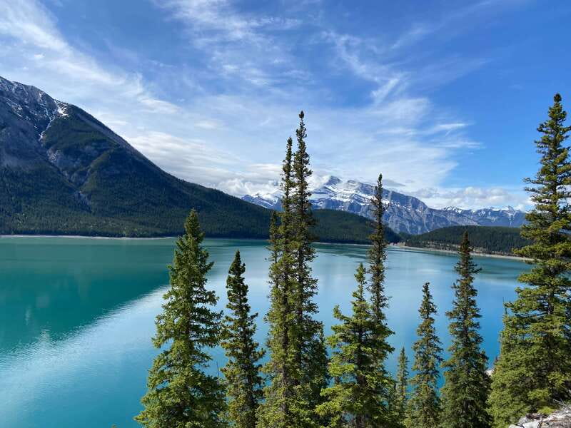 Banff PRIVATE Guided Nature Walk + Transportation - 2.5H - Transportation and logistics: what’s included, and what you should plan for