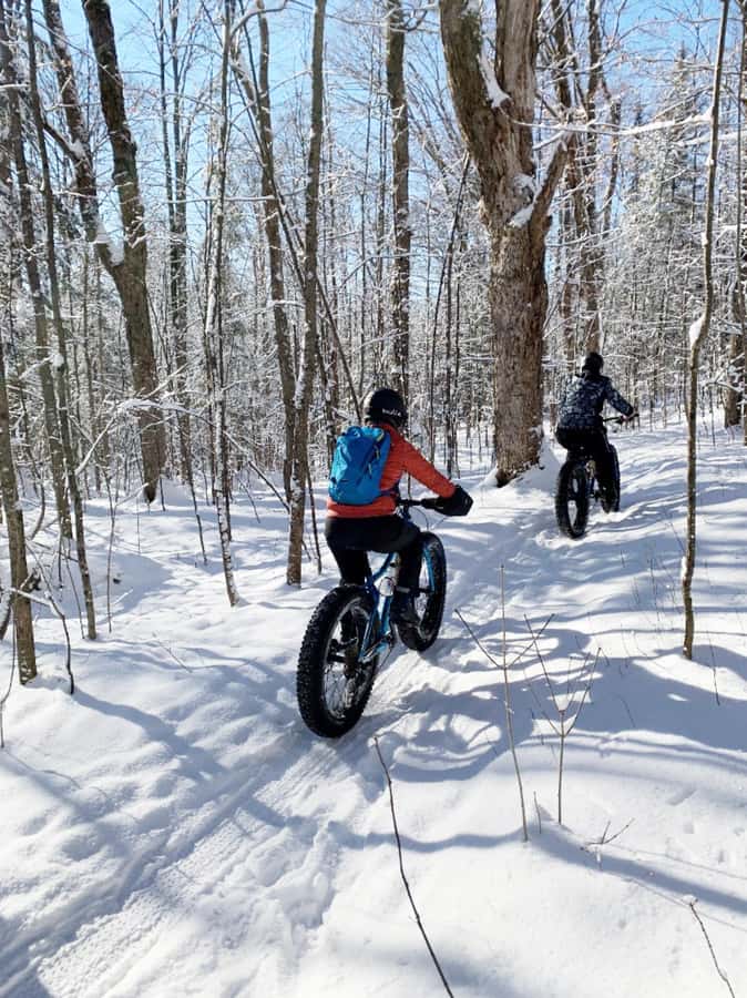 Banff Top Sights via Electric Fat Bike Tour All Skill Levels - Electric Fat Bikes: What Makes This Banff Tour Feel Easy