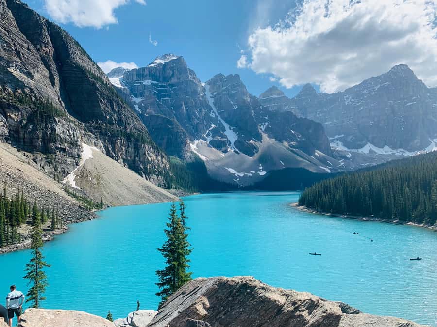 Banff Town: Lake Louise Moraine, Glacier, Peyto & Bow Lake - Peyto Lake from Bow Summit: The Turquoise Wolf Shape Angle