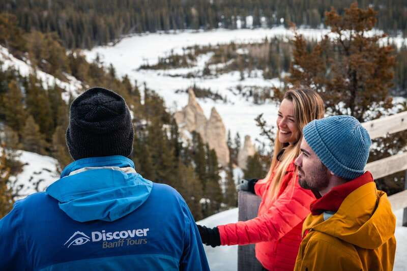 Banff: Wildlife and Sightseeing Minibus Tour - Price and Value: Is $70 Worth It for Banff’s Big Hits?