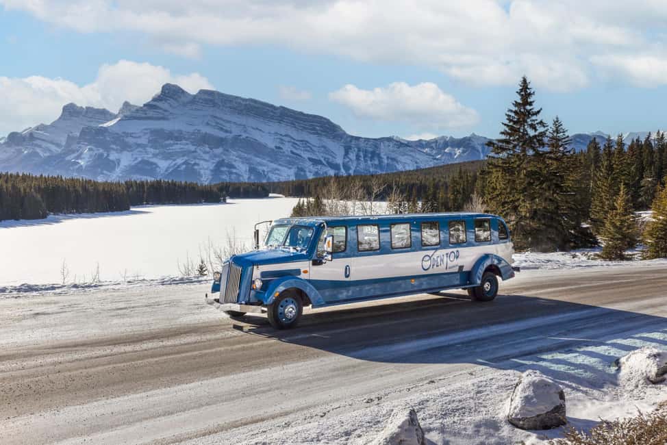 Banff: Winter Tour with Dinner & Nightrise at Banff Gondola - Key things I’d mark on your Banff winter checklist