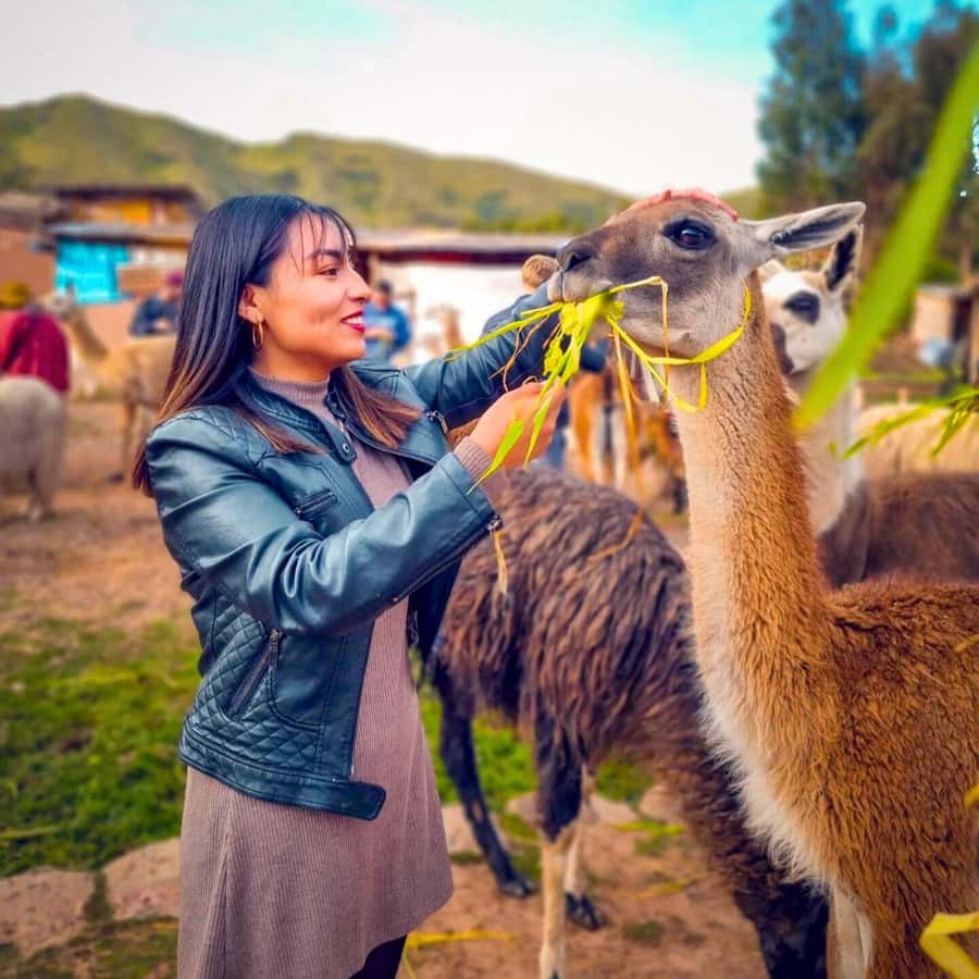 BUS 180 CUSCO - Group energy, dance shows, and who this tour fits best