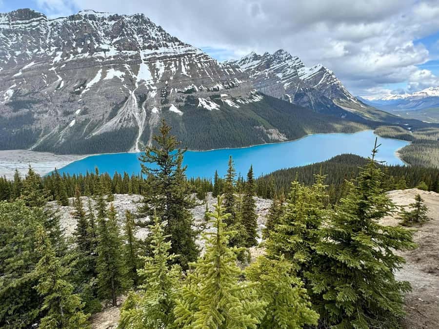 Calgary Banff: Columbia Icefield, Skywalk and Lakes Day Tour - The Big Idea: How This Icefields + Lakes Day Stays Worth It