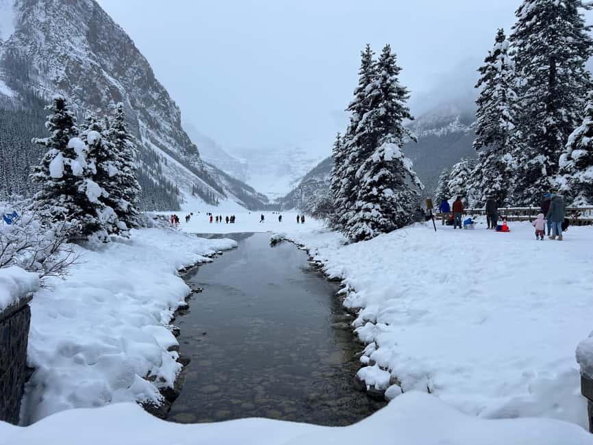 Calgary/Canmore/Banff: BEST of BANFF with LAKES Group Tour - Lake Louise (1.5 hours): turquoise views and how to use the time