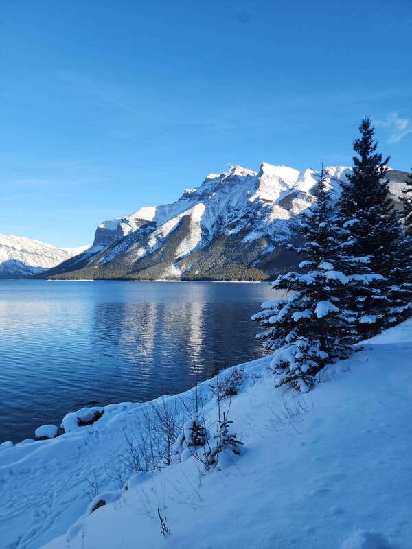 Canmore/Banff: Explore Banff & Wildlife - How a 4-Hour Tour in Banff Feels (And Who It Suits)