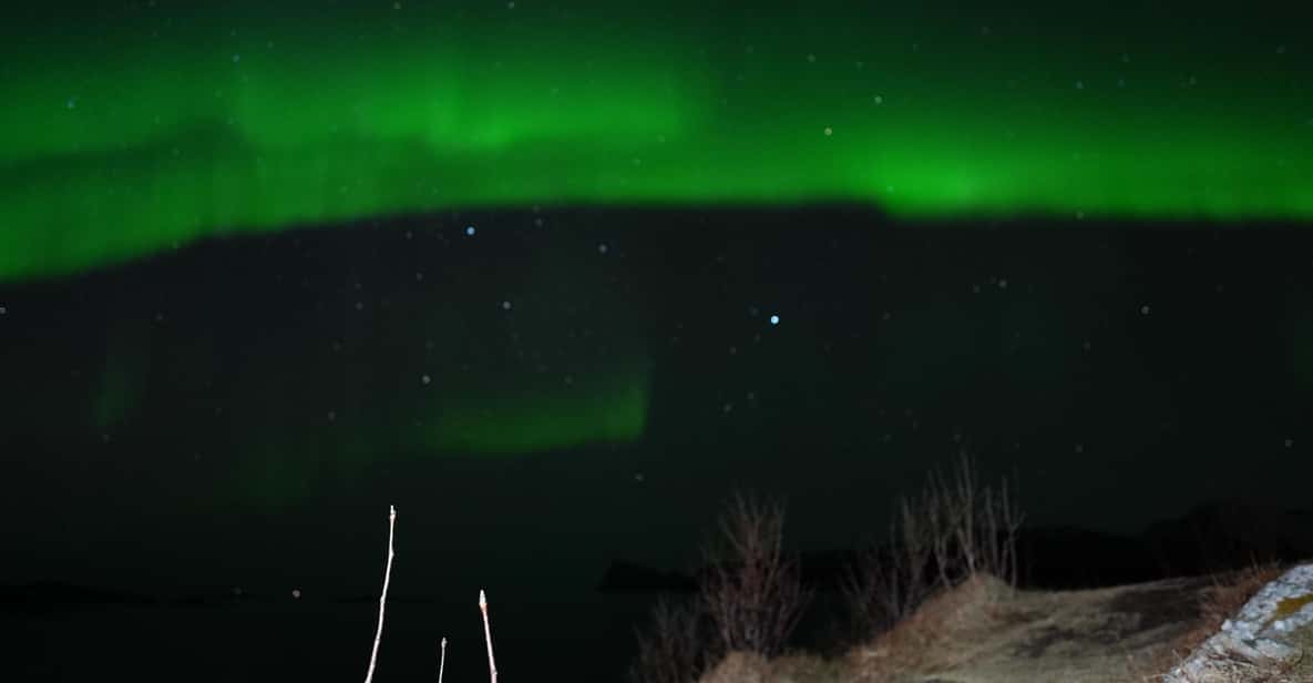 Chase the Magic of the Northern Lights in Tromsø Norway - Key things I’d clock before you book