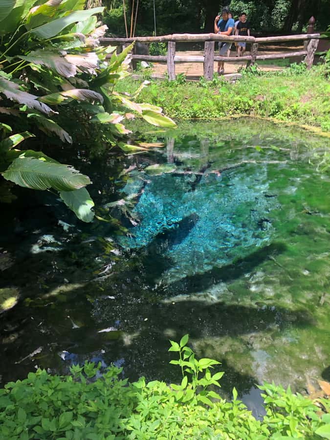 Chiang Dao Cave, Sticky Waterfall, Baan Den Temple Private - Price and Value: Is $125 Worth It for a Private 8-Hour Day?