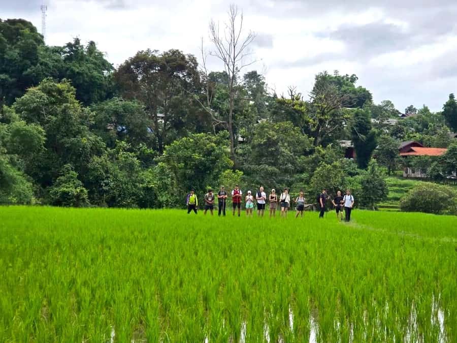 Chiang Mai: 1-Day Trekking Experience to Village & Waterfall - Who Should Book This Trek (and Who Should Skip It)